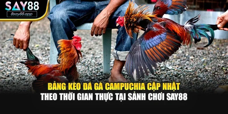 Bảng kèo đá gà Campuchia cập nhật theo thời gian thực tại sảnh chơi SAY88