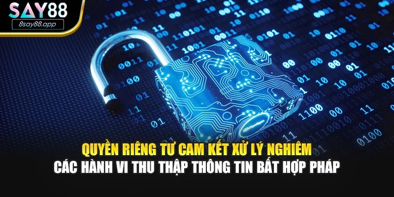 Quyền riêng tư cam kết xử lý nghiêm các hành vi thu thập thông tin bất hợp pháp