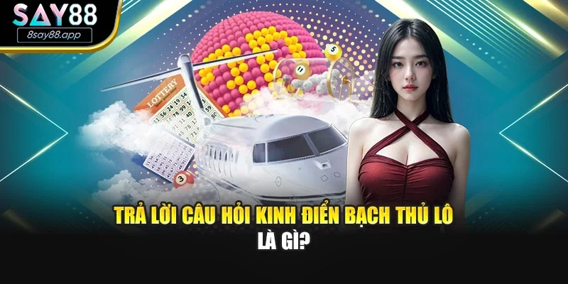 Trả lời câu hỏi kinh điển bạch thủ lô là gì?